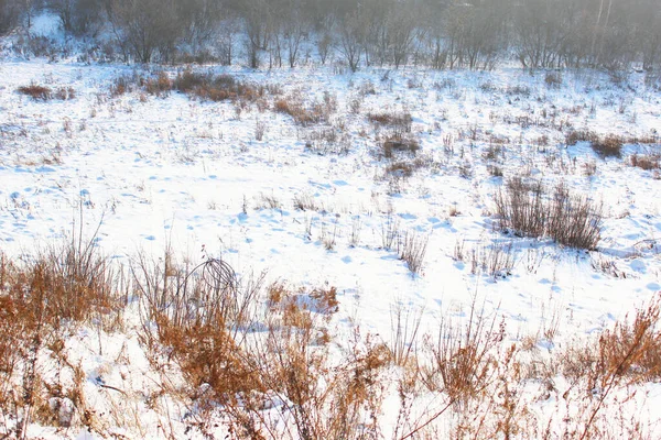 美丽的雪地冬季森林，树木被霜冻覆盖，积雪密布。大自然冬季的背景，有白雪覆盖的枝条。白色的霜冻在树上，白色的漂泊路上，冬季森林里的小径 — 图库照片