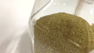 Kum saati geri sayımı, kum saatinin altındaki kum yığını, yukarıdan küçük kum taneleri düşüyor. Kum saati ağır çekim. Standart video. Süper makro