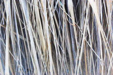 Uzun, kuru çimenler, betonun üzerinde sarı, mükemmel bir arka plan. dizaynınız ve metinleriniz için yer