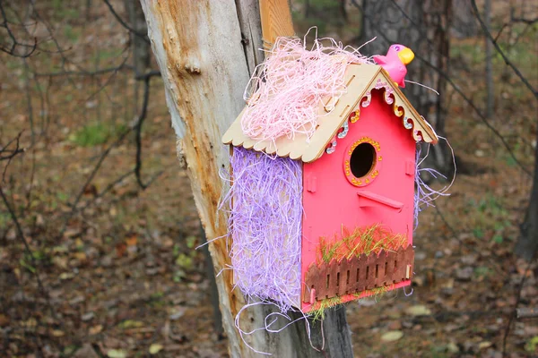 Kleurrijke vogel huis opknoping aan de muur vogel huis opknoping aan de boom — Stockfoto