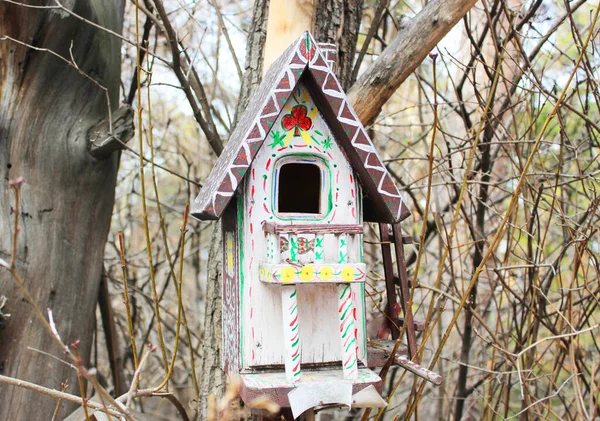 Maison d'oiseau coloré accroché sur le mur maison d'oiseau accroché à l'arbre — Photo