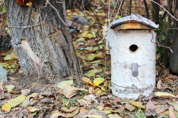 Maison d'oiseau coloré accroché sur le mur maison d'oiseau accroché à l'arbre — Photo