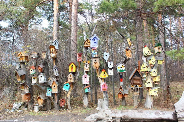 Maison d'oiseau coloré accroché sur le mur maison d'oiseau accroché à l'arbre — Photo