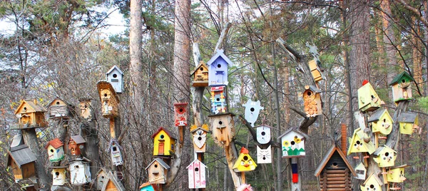 Kolorowy dom ptaka wiszący na ścianie domu ptaka wiszącego na drzewie — Zdjęcie stockowe