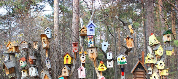 Maison d'oiseau coloré accroché sur le mur maison d'oiseau accroché à l'arbre — Photo