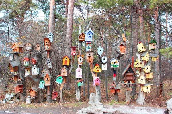 Maison d'oiseau coloré accroché sur le mur maison d'oiseau accroché à l'arbre — Photo