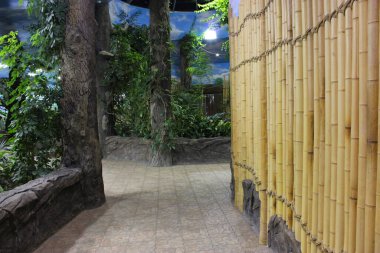 Eski bir bambu duvarının görüntüsünü kapat. Dekoratif duvar paneli, renkli bambu kökleri dikey desenli. Bambu ağaçlarından oluşan bir grup bambu ağacına oyulmuş senaryoların yakın çekimi.