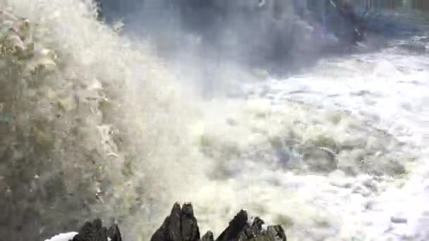 Mini Waterfall Springs Friedlich tropfend Nahaufnahme von Wasser, das auf einen Pool an einem Wasserfall fällt Extreme Nahaufnahme von Wasser, das gegen einen Felsen am Boden eines Wasserfalls fällt — Stockvideo