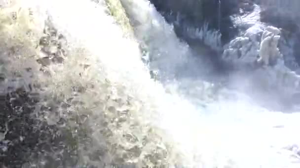 Mini Waterfall Springs Peacefully Dripping Close up shot van water vallen op een zwembad bij een waterval Extreme close-up van water vallen tegen een rots op de bodem van een waterval — Stockvideo