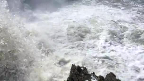 Mini Waterfall Springs Friedlich tropfend Nahaufnahme von Wasser, das auf einen Pool an einem Wasserfall fällt Extreme Nahaufnahme von Wasser, das gegen einen Felsen am Boden eines Wasserfalls fällt — Stockvideo