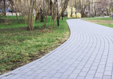 Gri asfalt levhalar, asfalt yollar, gölgeli bir parktaki yeşilliklerin arasında. Yüzeyin derinliği Paving levhaları. Yolda küçük tuğlalar var. Kirli, ıslak kaldırım. Geçmişi. Yol işaretleri, kaldırımlarda yosun.