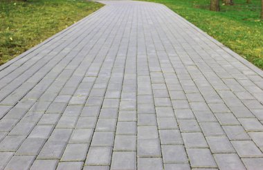 Gri asfalt levhalar, asfalt yollar, gölgeli bir parktaki yeşilliklerin arasında. Yüzeyin derinliği Paving levhaları. Yolda küçük tuğlalar var. Kirli, ıslak kaldırım. Geçmişi. Yol işaretleri, kaldırımlarda yosun.