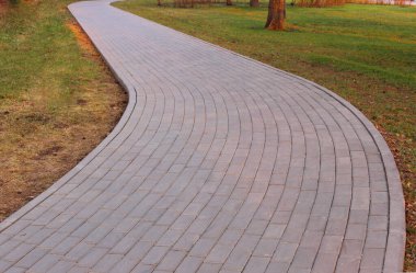 Gri asfalt levhalar, asfalt yollar, gölgeli bir parktaki yeşilliklerin arasında. Yüzeyin derinliği Paving levhaları. Yolda küçük tuğlalar var. Kirli, ıslak kaldırım. Geçmişi. Yol işaretleri, kaldırımlarda yosun.