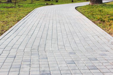 Gri asfalt levhalar, asfalt yollar, gölgeli bir parktaki yeşilliklerin arasında. Yüzeyin derinliği Paving levhaları. Yolda küçük tuğlalar var. Kirli, ıslak kaldırım. Geçmişi. Yol işaretleri, kaldırımlarda yosun.