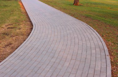 Gri asfalt levhalar, asfalt yollar, gölgeli bir parktaki yeşilliklerin arasında. Yüzeyin derinliği Paving levhaları. Yolda küçük tuğlalar var. Kirli, ıslak kaldırım. Geçmişi. Yol işaretleri, kaldırımlarda yosun.