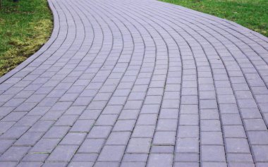 Gri asfalt levhalar, asfalt yollar, gölgeli bir parktaki yeşilliklerin arasında. Yüzeyin derinliği Paving levhaları. Yolda küçük tuğlalar var. Kirli, ıslak kaldırım. Geçmişi. Yol işaretleri, kaldırımlarda yosun.