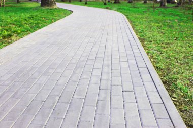 Gri asfalt levhalar, asfalt yollar, gölgeli bir parktaki yeşilliklerin arasında. Yüzeyin derinliği Paving levhaları. Yolda küçük tuğlalar var. Kirli, ıslak kaldırım. Geçmişi. Yol işaretleri, kaldırımlarda yosun.