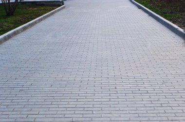 Gri asfalt levhalar, asfalt yollar, gölgeli bir parktaki yeşilliklerin arasında. Yüzeyin derinliği Paving levhaları. Yolda küçük tuğlalar var. Kirli, ıslak kaldırım. Geçmişi. Yol işaretleri, kaldırımlarda yosun.