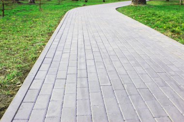 Gri asfalt levhalar, asfalt yollar, gölgeli bir parktaki yeşilliklerin arasında. Yüzeyin derinliği Paving levhaları. Yolda küçük tuğlalar var. Kirli, ıslak kaldırım. Geçmişi. Yol işaretleri, kaldırımlarda yosun.