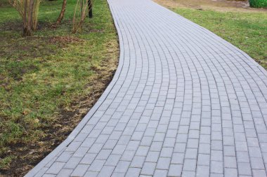 Gri asfalt levhalar, asfalt yollar, gölgeli bir parktaki yeşilliklerin arasında. Yüzeyin derinliği Paving levhaları. Yolda küçük tuğlalar var. Kirli, ıslak kaldırım. Geçmişi. Yol işaretleri, kaldırımlarda yosun.