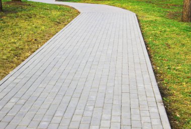 Gri asfalt levhalar, asfalt yollar, gölgeli bir parktaki yeşilliklerin arasında. Yüzeyin derinliği Paving levhaları. Yolda küçük tuğlalar var. Kirli, ıslak kaldırım. Geçmişi. Yol işaretleri, kaldırımlarda yosun.