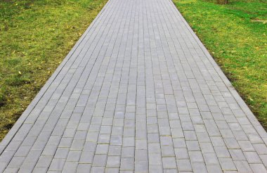 Gri asfalt levhalar, asfalt yollar, gölgeli bir parktaki yeşilliklerin arasında. Yüzeyin derinliği Paving levhaları. Yolda küçük tuğlalar var. Kirli, ıslak kaldırım. Geçmişi. Yol işaretleri, kaldırımlarda yosun.