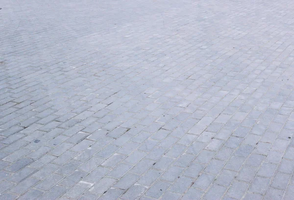 Losas o piedras de pavimento cuadradas de hormigón o adoquín gris para piso, pared o camino. Valla tradicional, corte, patio trasero o pavimentación de carreteras. — Foto de Stock