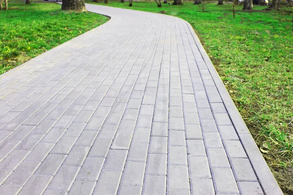 Abu-abu paving slabs, jalan beraspal, antara hijau di taman teduh. kedalaman dangkal lempengan Paving lapangan. Batu bata kecil di jalan. Kotor, trotoar basah. Latar belakang. tanda jalan, lumut di trotoar — Stok Foto