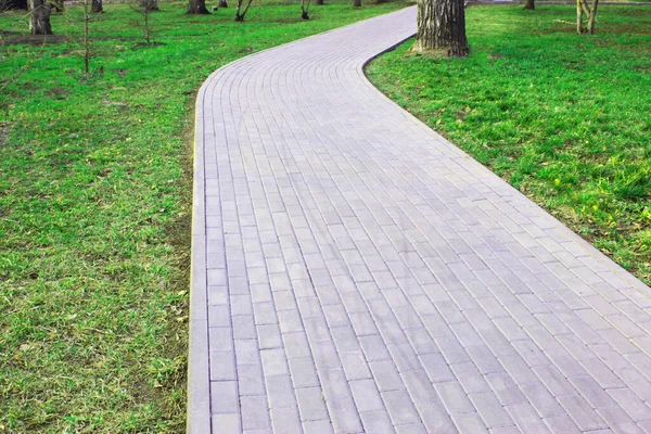 Graue Pflasterplatten, gepflasterter Weg, mitten im Grünen in einem schattigen Park. Flache Schärfentiefe Pflasterplatten. Kleine Ziegel auf der Straße. Schmutziger, nasser Bürgersteig. Hintergrund. Fahrbahnmarkierungen, Moos auf den Gehwegen — Stockfoto