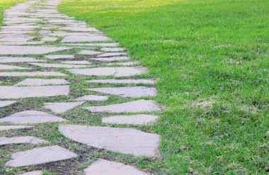 Gri asfalt levhalar, asfalt yollar, gölgeli bir parktaki yeşilliklerin arasında. Yüzeyin derinliği Paving levhaları. Yolda küçük tuğlalar var. Kirli, ıslak kaldırım. Geçmişi. Yol işaretleri, kaldırımlarda yosun.