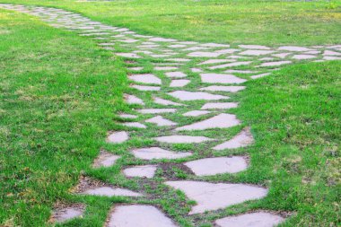 Gri asfalt levhalar, asfalt yollar, gölgeli bir parktaki yeşilliklerin arasında. Yüzeyin derinliği Paving levhaları. Yolda küçük tuğlalar var. Kirli, ıslak kaldırım. Geçmişi. Yol işaretleri, kaldırımlarda yosun.