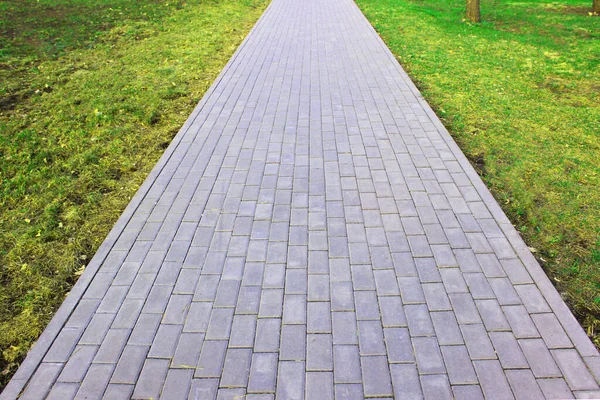 Šedé dlažební desky, dlážděná stezka, mezi zelení ve stinném parku. Mělká hloubka pole Dlažební desky. Malé cihly na silnici. Špinavý, mokrý chodník. Pozadí. značení silnic, mech na chodnících — Stock fotografie