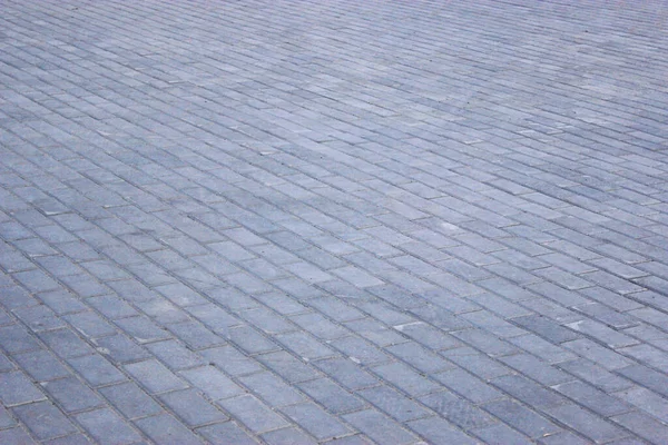 Lastre di cemento o di ciottoli grigi marciapiede quadrato o pietre per pavimento, parete o percorso. Recinzione tradizionale, corte, cortile o pavimentazione stradale. — Foto Stock