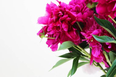 Bir buket pembe ve beyaz şakayık. Beyaz arka plan boşluğuna yakın çekim. Mesaj için. Düz stil. Çiçeksel doğal arka plan rengarenk buket. Konforlu ev konsepti. Sevgililer Günü için kartpostal ya da hediye