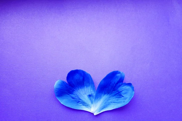 Hojas florales en la mesa para el día de fiesta.. postal, felicitaciones al 8 de marzo.Día de las mujeres. San Valentín, día de las madres. Mesa de fondo de primavera. flores en rosa. Para una pancarta en el fondo —  Fotos de Stock