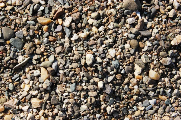 Clean sea water and stones at the bottom. Rocky seashore. Pebbles and rocks. Close-up and top view of stones on the beach. Has a clean grainy surface texture with evening sunlight, copy space — Stock Photo, Image