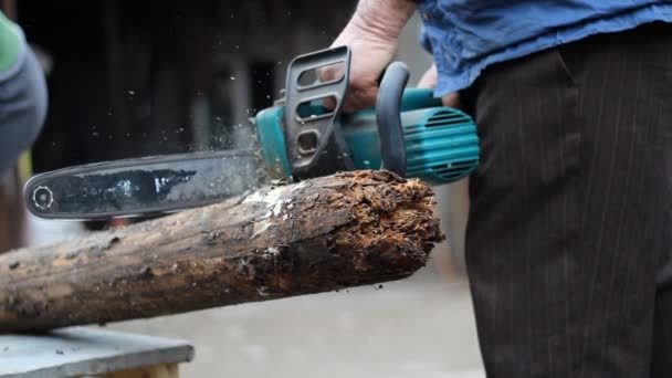 Cutting a log — Stock Video