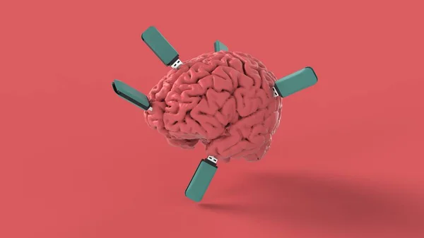 Troca Dados Cérebro Humano Rosa Com Conexão Armazenamento Memória Flash — Fotografia de Stock