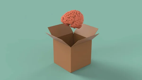 Cerebro Humano Pensar Fuera Caja Abierta Marrón Con Idea Imagen — Foto de Stock