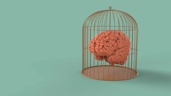 Cerebro Humano Aislado Oro Metall Pájaro Jaula Prisión Libertad Renderizar — Foto de Stock