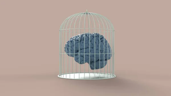 Azul Cerebro Humano Aislado Plata Blanco Metall Pájaro Jaula Prisión — Foto de Stock