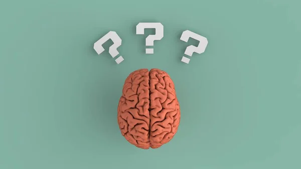 Cerebro Con Concepto Blanco Signo Interrogación Idea Creativa Tormenta Ideas — Foto de Stock