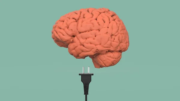 Cerebro Humano Aislado Carga Azul Por Enchufe Negro Con Cable — Foto de Stock