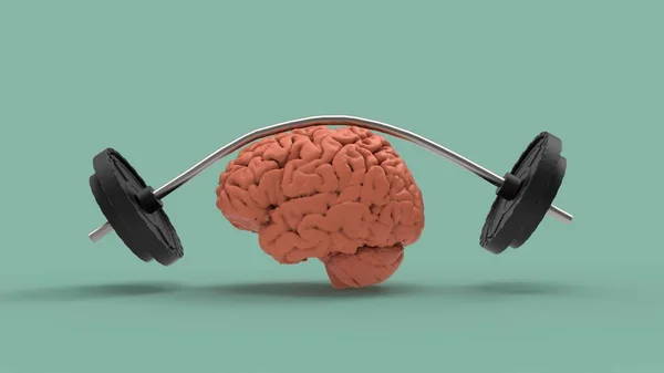 Músculo Ideia Treinamento Cerebral Com Imagem Renderização Barbell — Fotografia de Stock