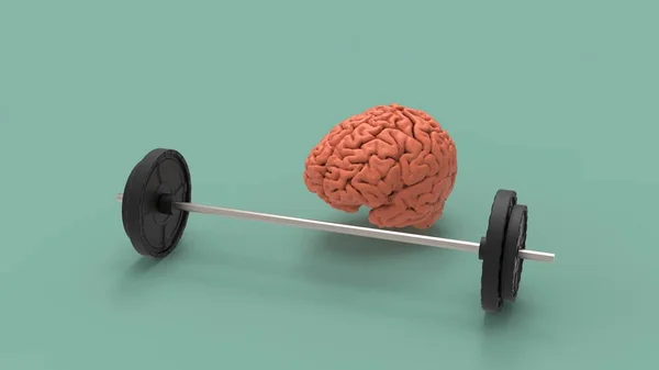 Músculo Ideia Treinamento Cerebral Com Imagem Renderização Barbell — Fotografia de Stock