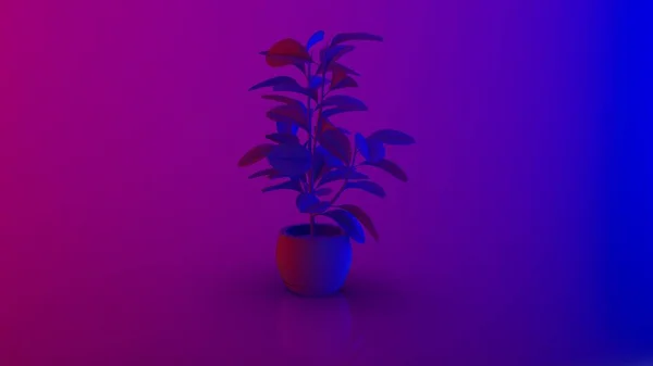 グラデーション背景に分離された紫と青のネオンスタイルの植物と花瓶のアイソメトリックビュー3Dレンダリングイメージ — ストック写真