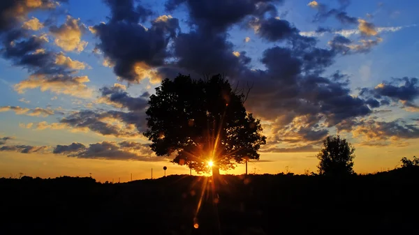 Puesta de sol en una noche de verano . — Foto de Stock