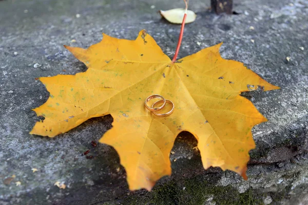 Pierścionki zaręczynowe symbol miłości — Zdjęcie stockowe