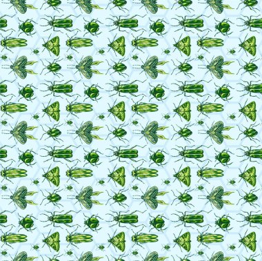 Böceklerin, kelebeklerin ve güvelerin kusursuz deseni. Çeşitli böceklerle botanik geçmişi moda. Tekstil ve tipografi için vahşi hayvanlar