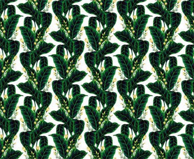 Hawaii bitkilerinin ve ağaçların gouache boyalı yapraklarının kusursuz deseni. Tropikal bitkilerle botanik arka plan eğilimi